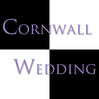 Cornwall Wedding 1073486 Image 6